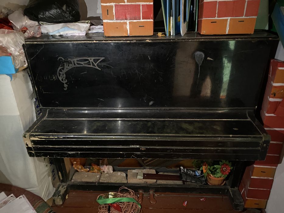 музыкальный инструментты