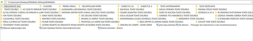Pachet complet BAC Română  – Tot ce ai nevoie pentru nota 10!