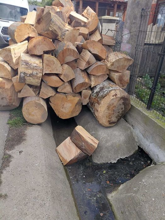 Lemne de foc esență fag.