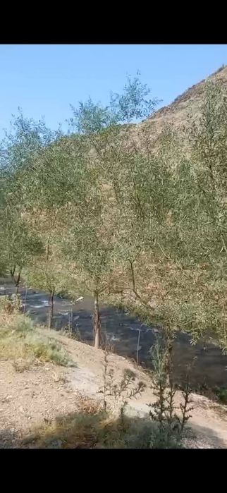 Uchastka zominda sotiladi