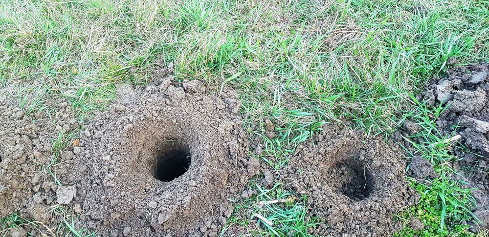 Gauri motoburghiu,imprejmuiri,spart lemne cu spargator profesional,etc