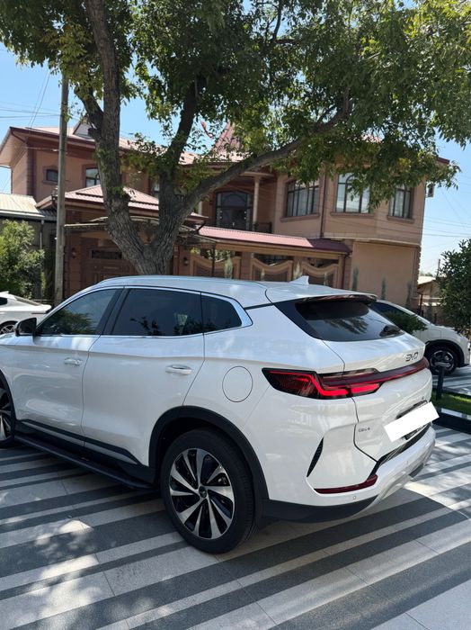 Byd chempion 2026 yil 150 talik