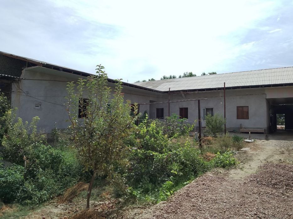 Zudlik bilan uy sotiladi Jizzax sharof Rashidf yoyilma mahallesi