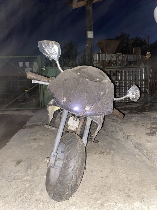 Vand poker impecabil