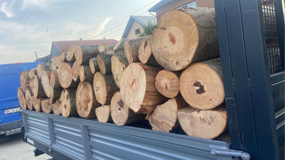 Lemne de toate categoriile