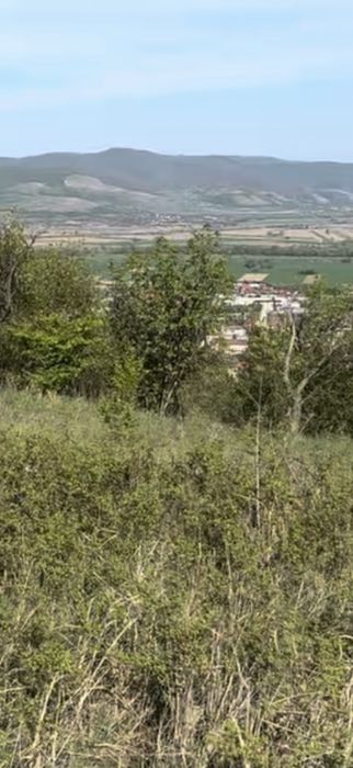 Teren intravilan Cetate Deva