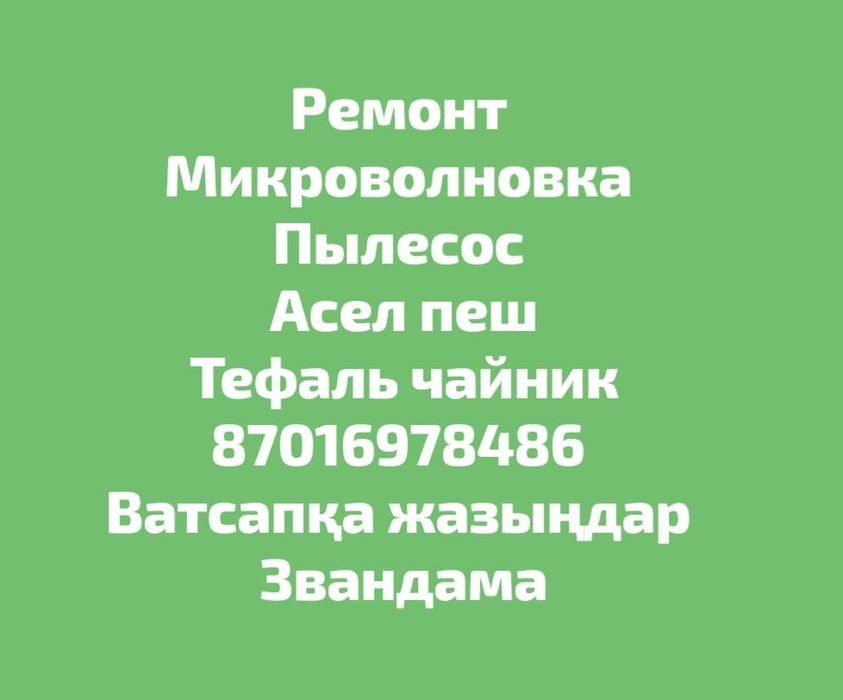 Ремонт пылесос и микроволновка