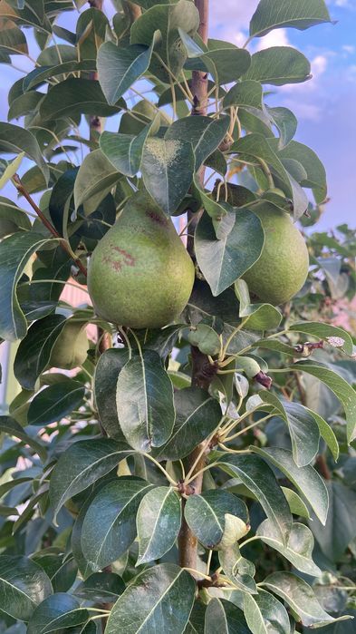 Дом на берегу Урала