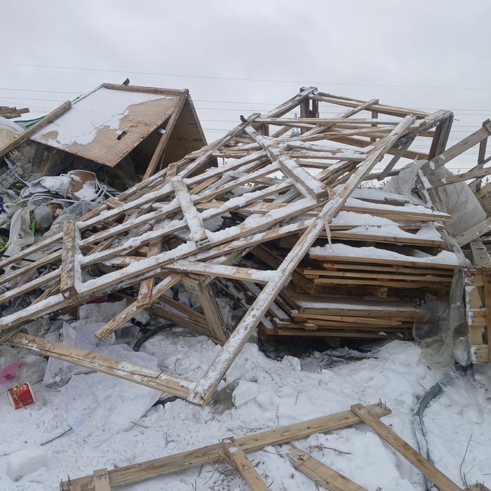 Дрова бесплатно самовывозом