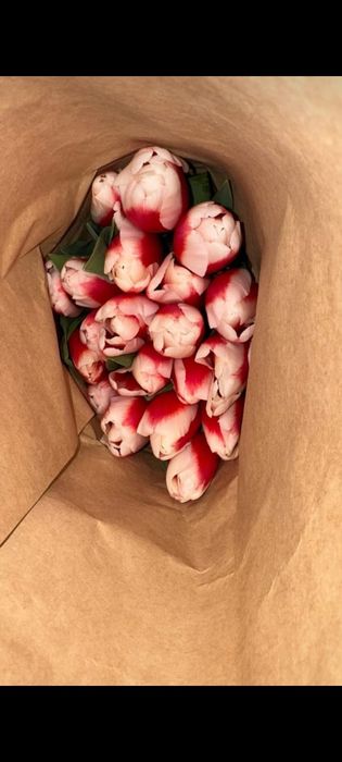 Тюльпаны на 8 марта