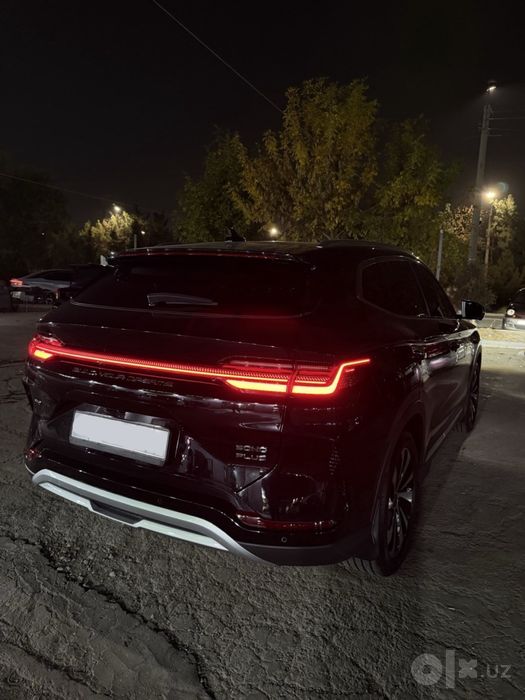 Byd champion Dm-i 2024