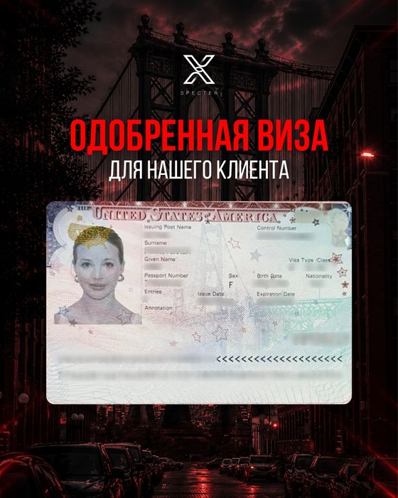 Виза в США B1 B2 F1