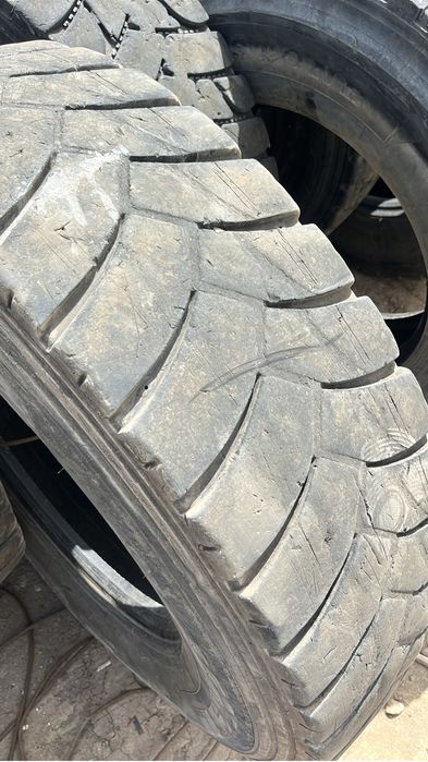Продам шины Шахман Хова