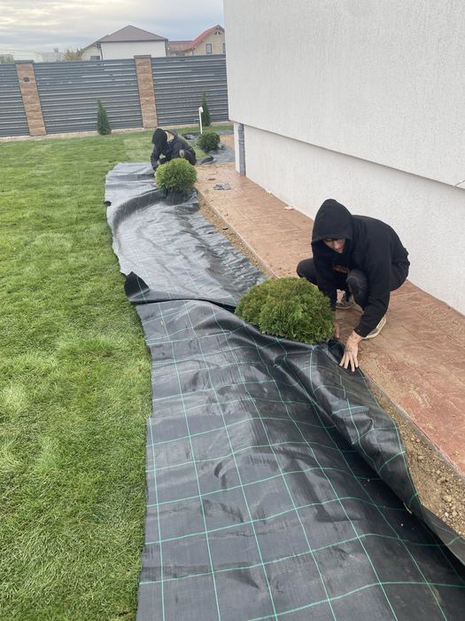 Gazon rulou supersport