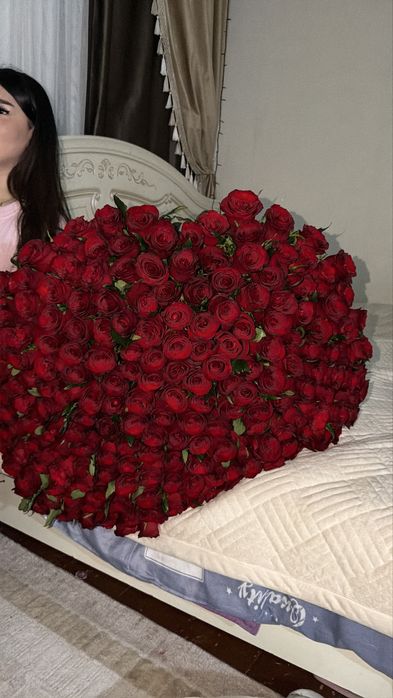 РОЗЫ 201 100 смм