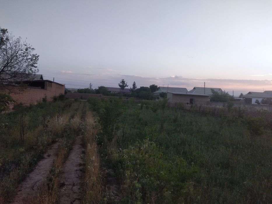 Surxondaryo sherobod tumani balxiguzar maxallasi