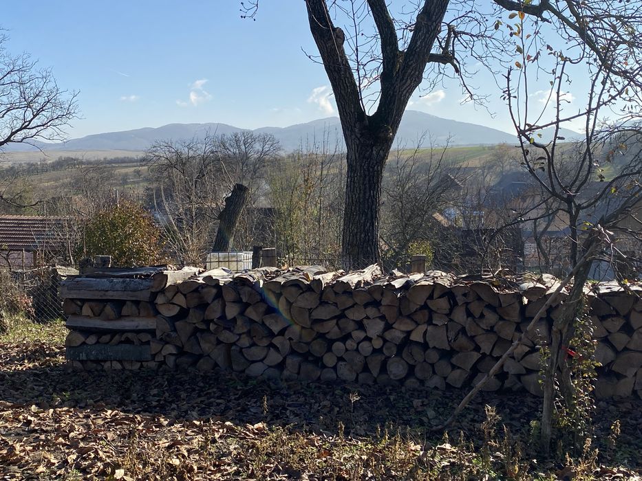 Lemne de fag pentru foc