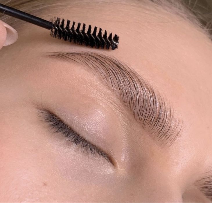 Курс «Сам себе Бровист»