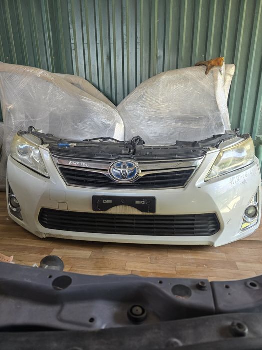 Мини морда ноускат