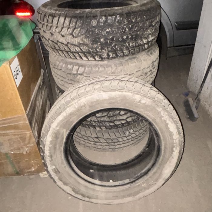 Зимние шины Nexen R16
