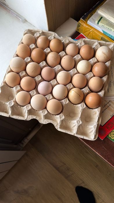 Продам домашние яйца
