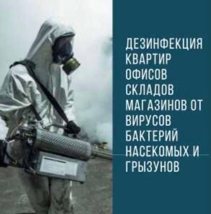 Дезинфекция дезинсекция дератизация dezinfeksiya от клопов