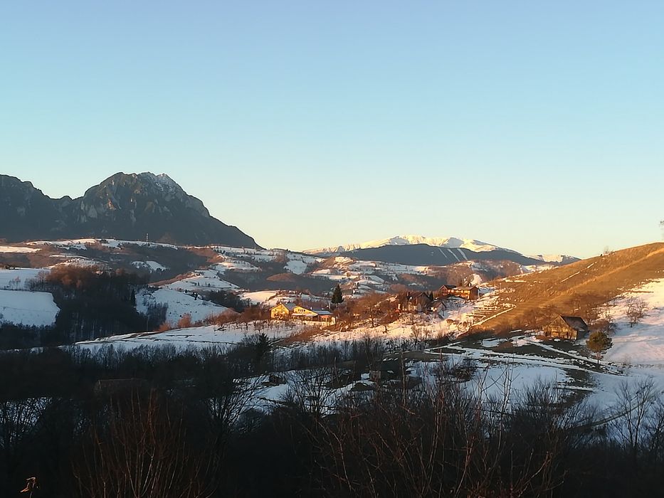 Cabana de inchiriat cu ciubar