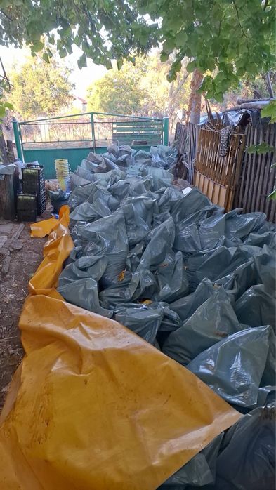 Продавам грозде зайбер и мерло