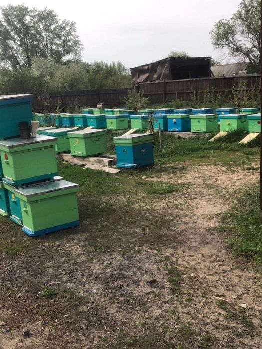 БАЛ. МЁД. МЕД. Натурал.