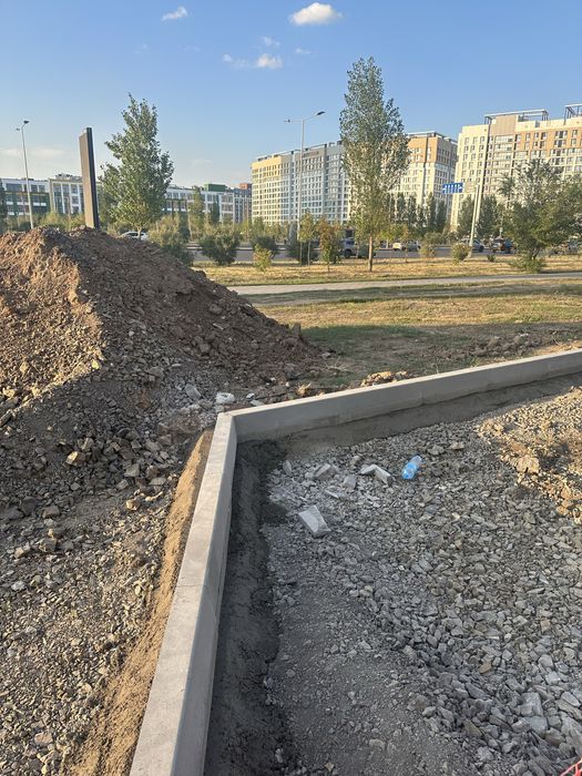 Бардёр бурсчатка Асфалть
