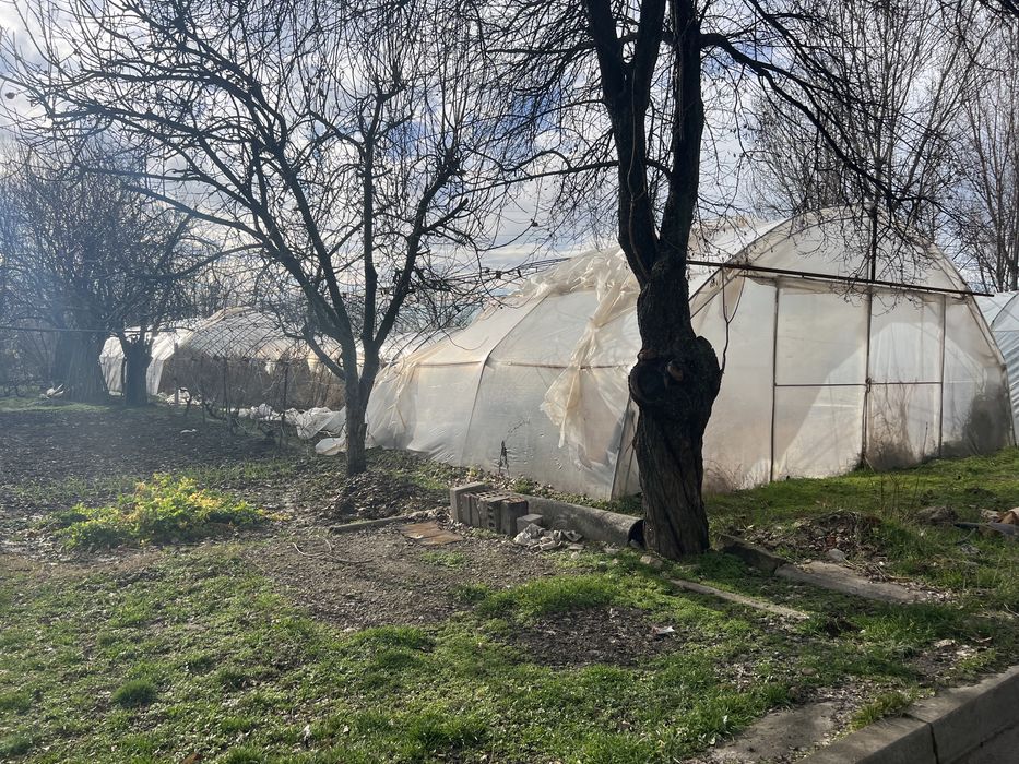 Асеновградски оранжерии