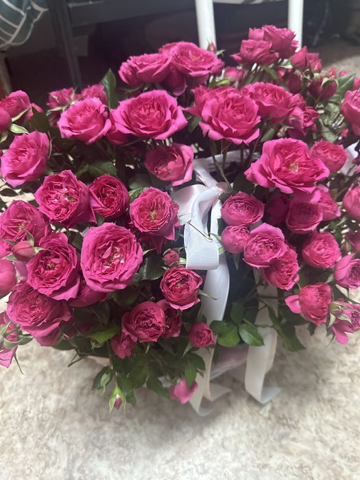 бүгін келді 25-30 келисемызз