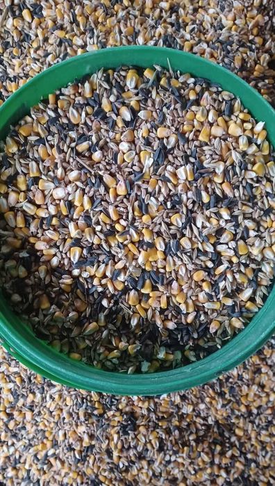 Vand amestec de cereale (mix) sau uruiala