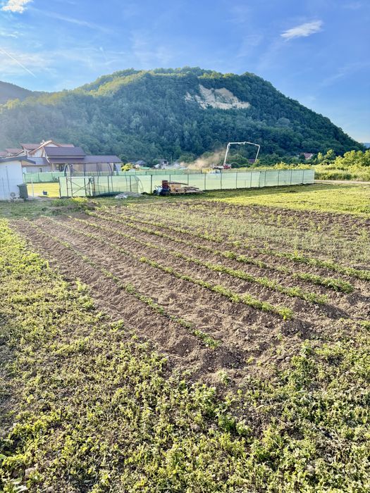 Teren intravilan Dej huhurez 42D