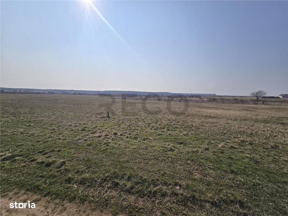 RECO Teren Grigorescu