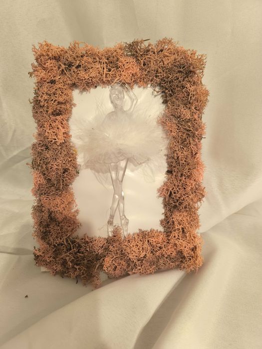 Картина от скандинавски мъх