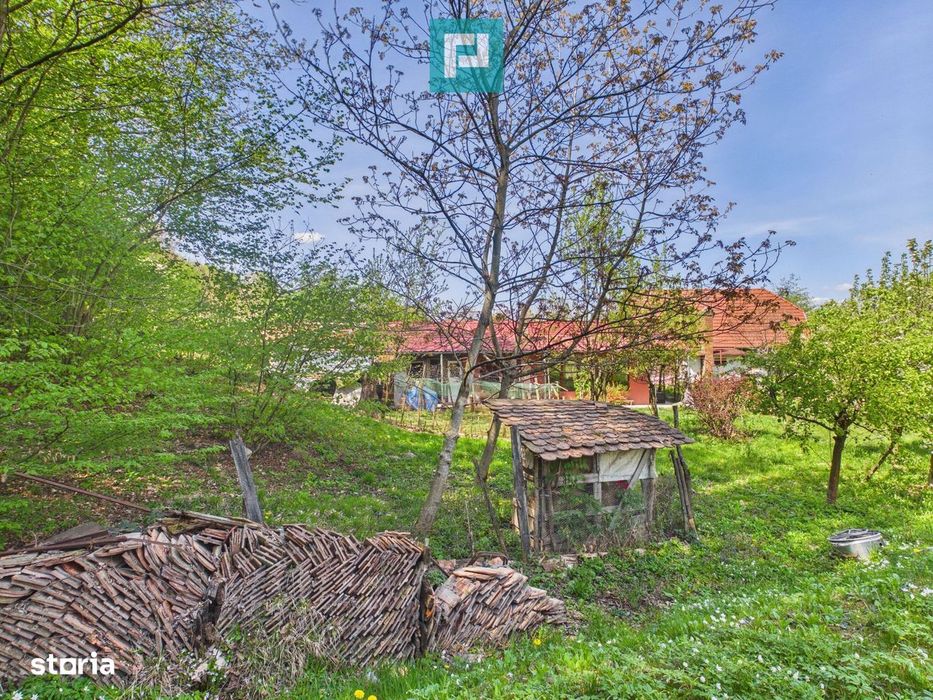 Casă Câmpani, 8000 mp teren, la poalele Apusenilor
