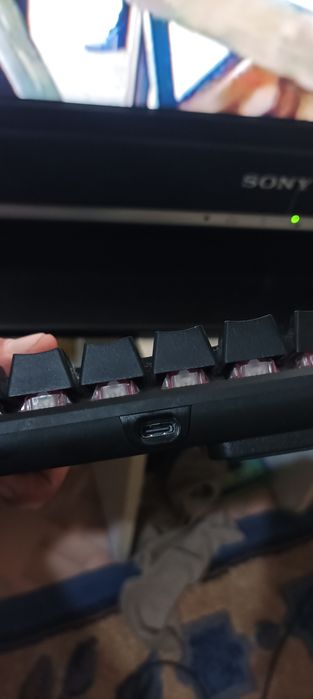 Все за одну цену