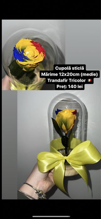 Trandafir criogenat in cupola de sticla