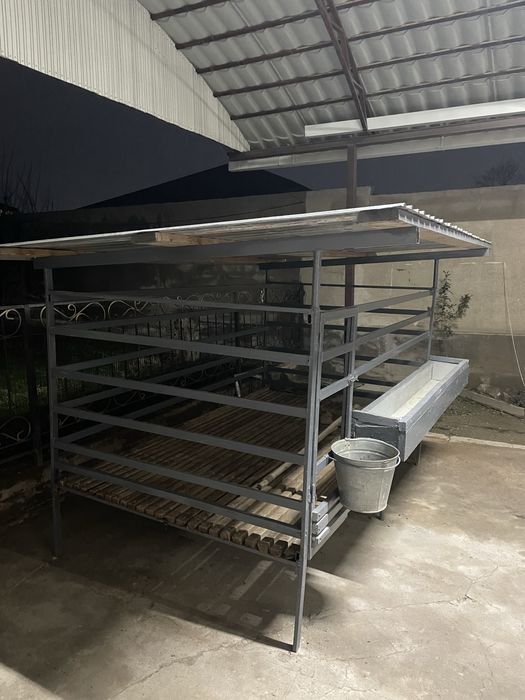 Қой қора Бордақы Қошқар