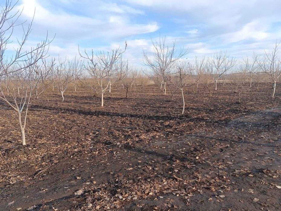 Продава се Земеделски имот в Генерал Тошево -  кв.м за 4 €/дка - Снимка #4