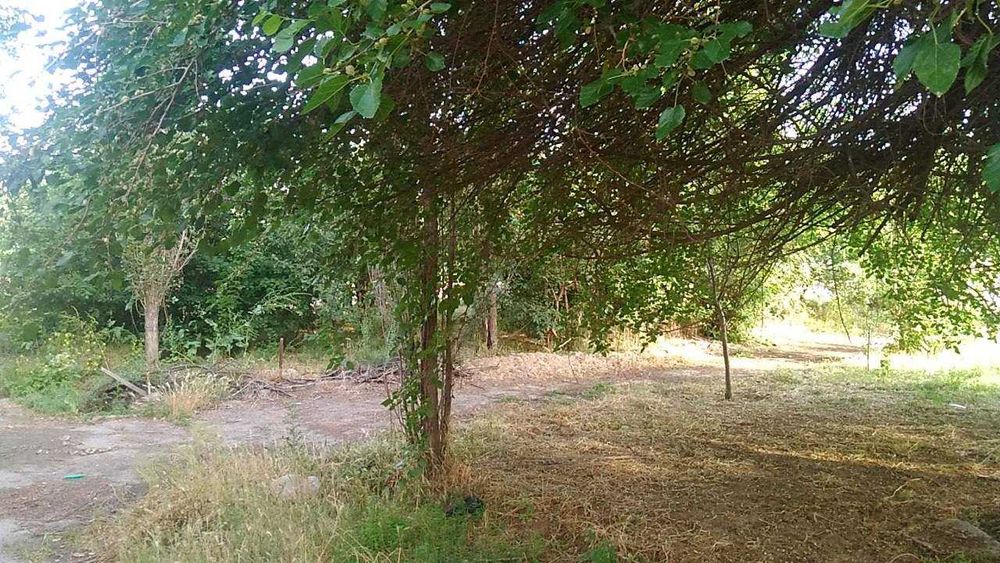 Noturar joy sotiladi