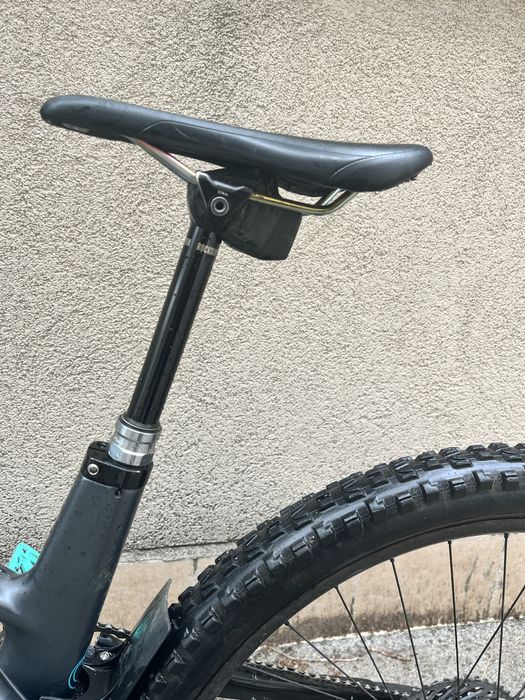 Forbidden Druid 2023