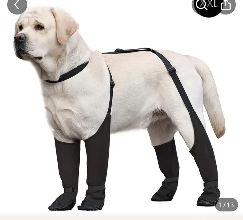 Продам обувь для собаки