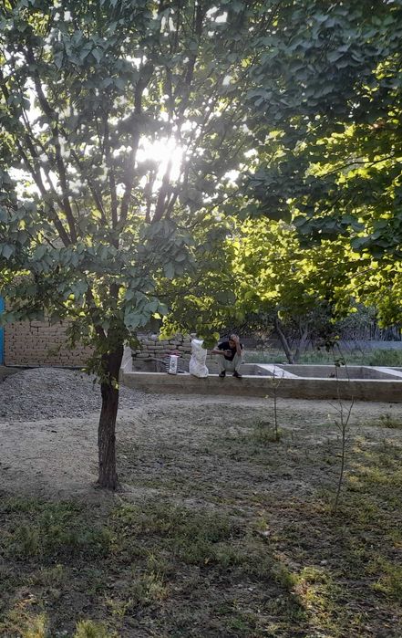 Кармана туман кумишкон махалласидан утиб васход дача