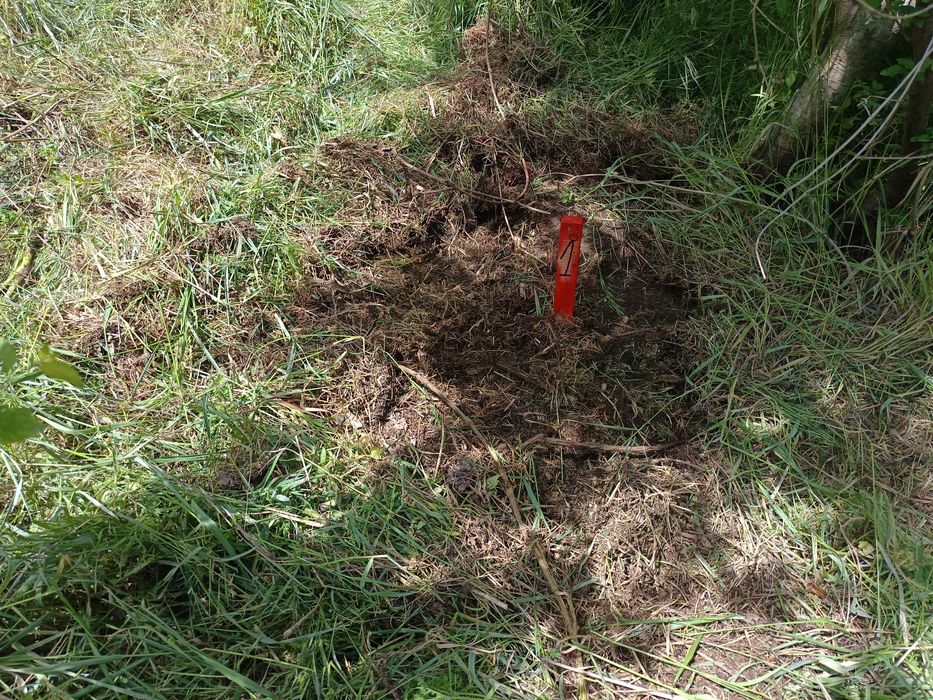 Парцел 400 кв.м. село Водица Варненско