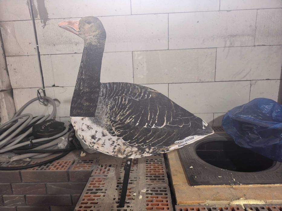 Продам гусиные профиля. 25 штук + сумка.