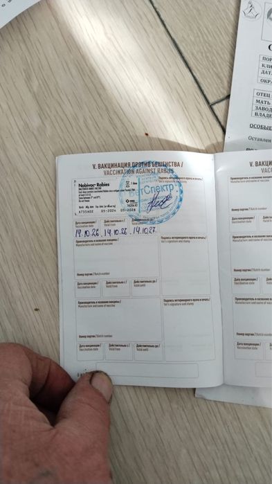 Продам немецкую овчарку