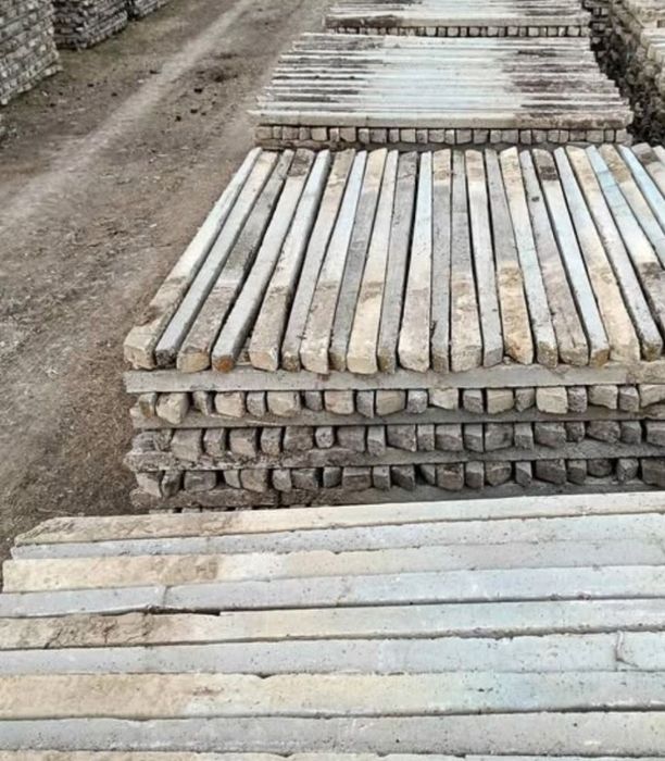 Spalieri vie pentru gard