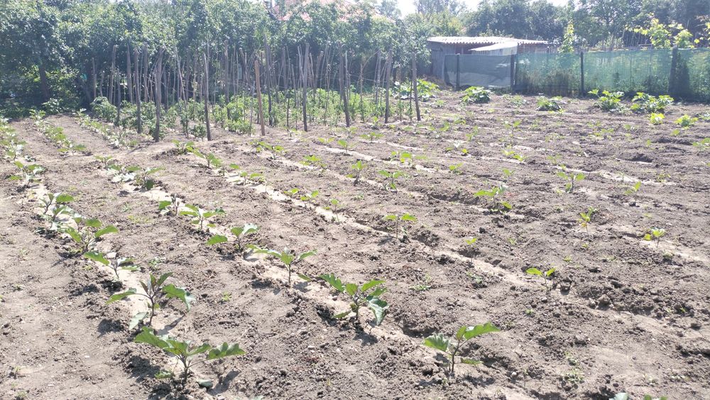 Schimb /Teren intravilan Ghercești+casă la țară cu livada icoana Olt